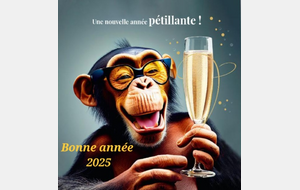 Bonne Année 2025